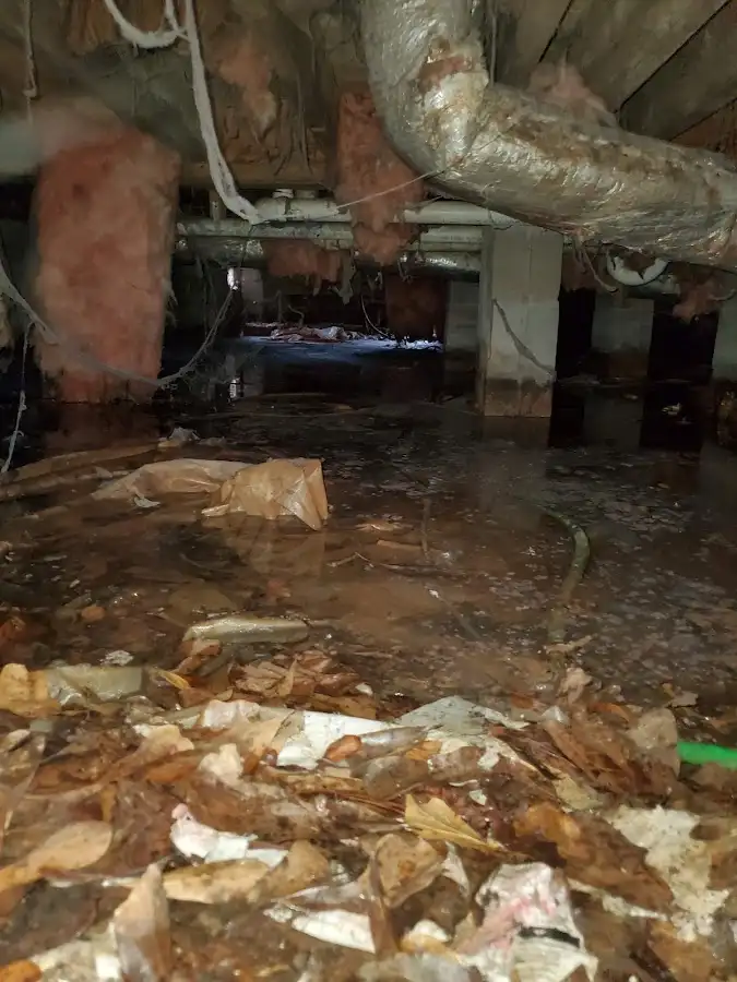 Crawl space flood assessment for Leak Detection & Repair in Newberry