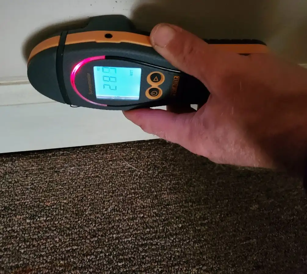 Moisture detection at baseboard during Mold Inspection & Testing in Newberry